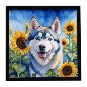 Siberian Husky in Sunflowers Framed Metal Print Bathroom, Kitchen, Office, Home Decor Wall Art Ready to Hang, Square, 8X8